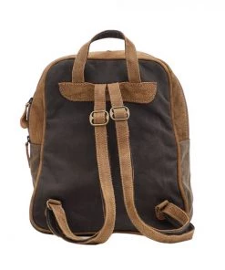 Myra Bag Printed Rug & Hairon Front Flap Backpack